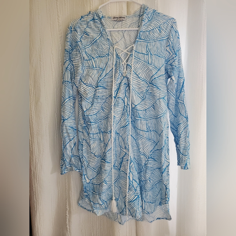 Charlie Holiday Blue and White Striped Dress